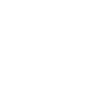 长白山黑木耳