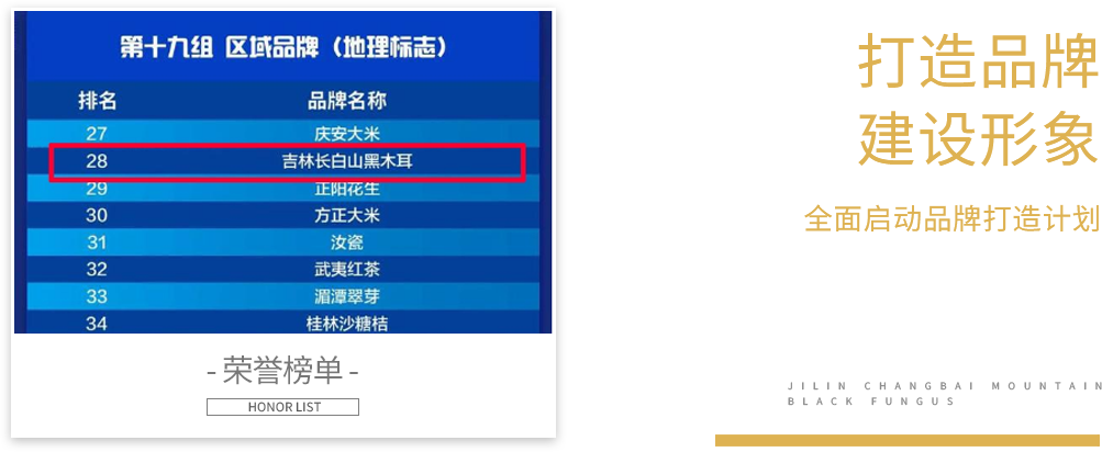 b07_3.png