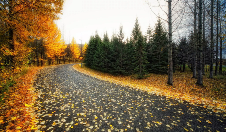 1666856440217378.png 1666856440217378.png