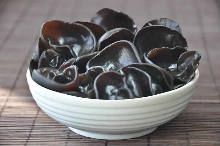 1677576269638417.jpg 1677576269638417.jpg