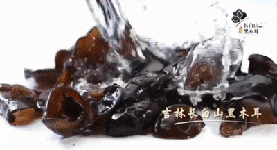 02.gif