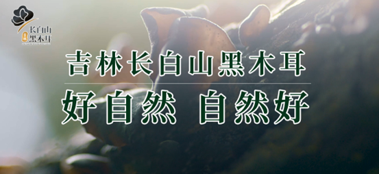1685696274974942.png