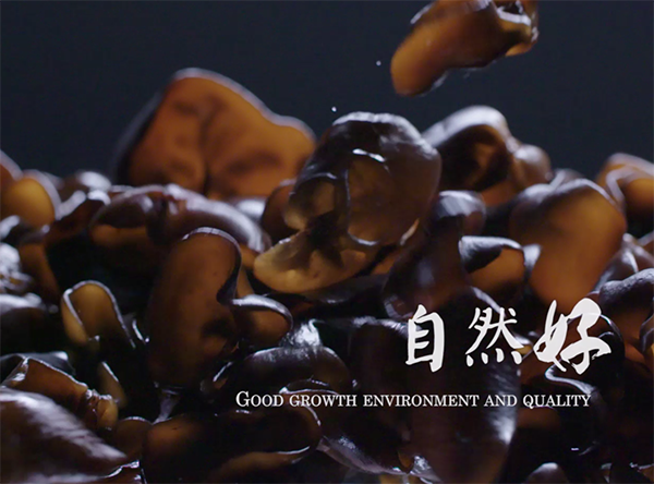 养于自然，食于自然，好自然，自然好