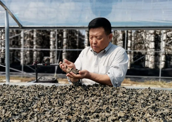 恭喜！李玉院士荣膺2022年度吉林省科学技术特殊贡献奖