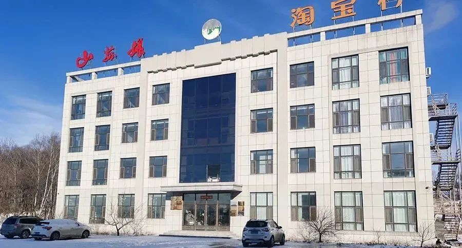 小木耳，大产业！山菇娘食品有限公司用黑木耳撑起“致富伞”，开出“幸福花”